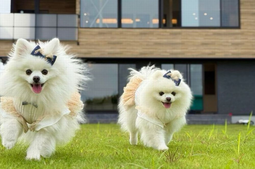設備について